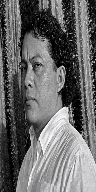 Bibliografía: Miguelángel López Hernández 